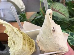 -野人先生Gelato(上海长宁龙之梦店)