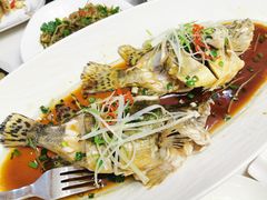 -宝荣鱼馆·临湖之宴(千岛湖店)