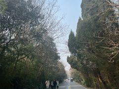 -盐城丹顶鹤湿地生态旅游区