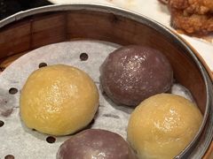 -金燕岛潮州酒楼