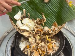 野生菌火锅-原林野山菌火锅·炒菌(关上野生菌一条街店)