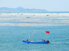 -枸杞岛