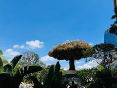 -马哥孛罗咖啡厅·Cafe Marco (厦门马哥孛罗东方大酒店)