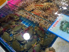 -新鸿港水果市场