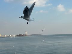 -青岛海滨风景区