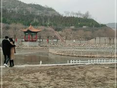 -五龙城郊森林公园