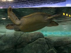 -福州罗源湾海洋世界旅游区