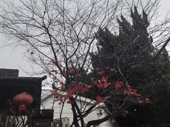 -木子山庄·安徽省老字号·中国炖锅宴
