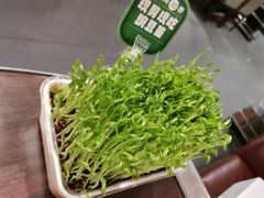 -海底捞火锅(高科广场店)