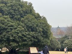 -灵谷景区
