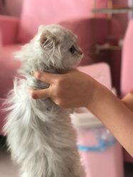 -Beauty Nails 美甲美睫皮肤管理