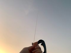 -春花秋色城市公园