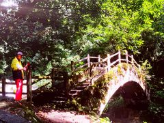 -西岭雪山大飞水景区