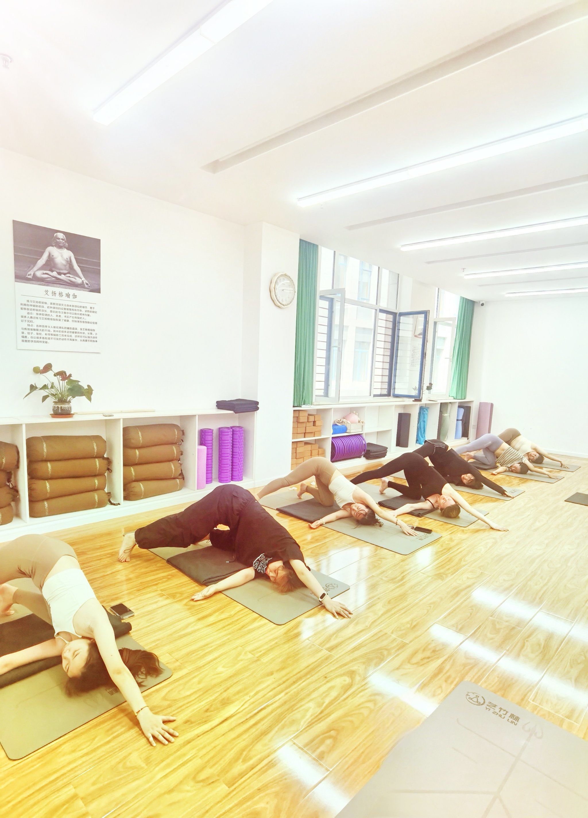 女神们的瑜伽课