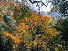 -藏龙百瀑风景区