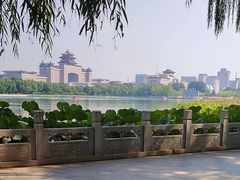 -莲花池公园
