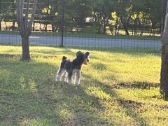 -乖乖宠物医院·猫科·骨科·24小时(云岗分院)