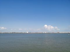 -大湾区中央湿地公园