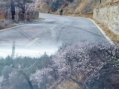 -妙峰山风景名胜区