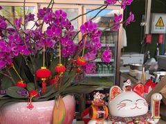 -光头佬室内钓虾场·烧烤·团建·亲子(中山八路店)