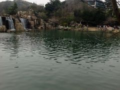 -白马涧龙池景区