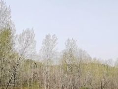 -淇河国家湿地公园