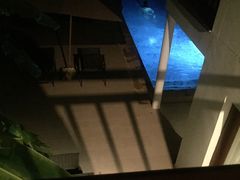 -椰树岛海滩度假村