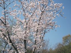 -羊山湖公园