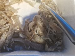-海天盛宴潮汕蒸汽海鲜高端自助形象店