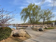 -石家庄市植物园