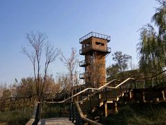 -东郊湿地公园