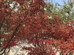 -丝绸小镇荻港古村