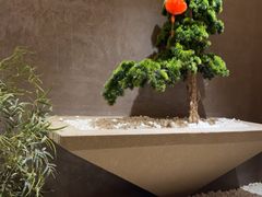 -阿露佳·舌尖上的安吉菜