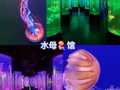 -香港海洋公园