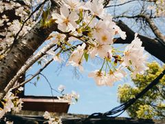 -龙华寺
