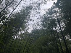 -波尔登森林公园