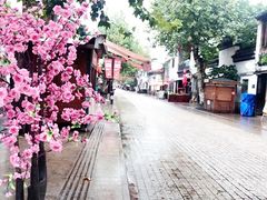 羊汤汤-蜜桃餐厅·古运河畔(南下塘店)