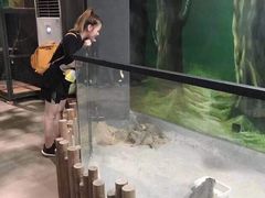 -北戴河圣蓝海洋公园