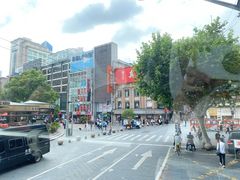 -BUS TOUR观光巴士