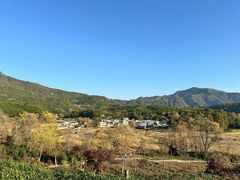-塔川景区