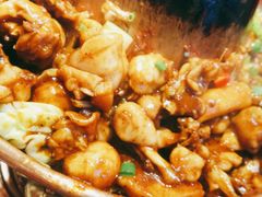 -老佛爷蛙锅•鲜蛙煲(麦凯乐店)