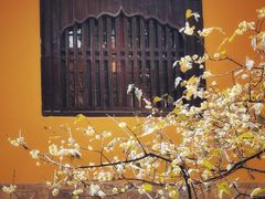 -西园戒幢律寺