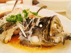 清蒸珍珠龙趸-顺德人家食府(黄金广场店)