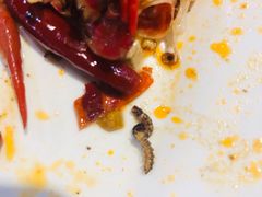 -小科自助海鲜烧肉(高区店)