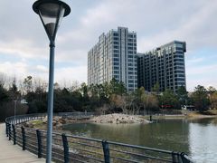 -美兰湖景区
