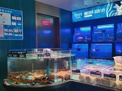 -望海臻鲜·海鲜餐厅