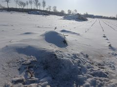 -和顺坊老北京铜火锅