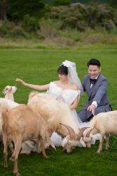 -麦田·婚纱摄影(天河新天地店)