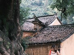 -杨家堂村