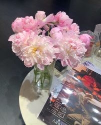 -MuseMarry婚纱(前海嘉里中心店)